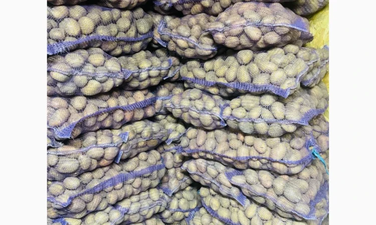 Домашня картопля високої якості - фото № 1