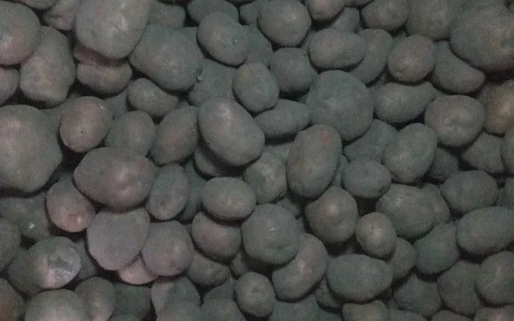 Продаю картоплю сорту Бела Роса - фото № 2