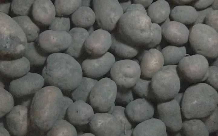 Продаю картоплю сорту Бела Роса - фото № 3