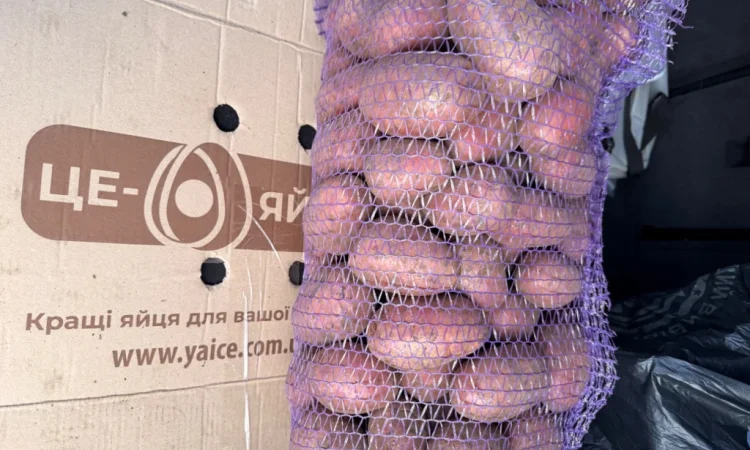 Розовая картошка сорт Алюет высшего качества - фото № 2