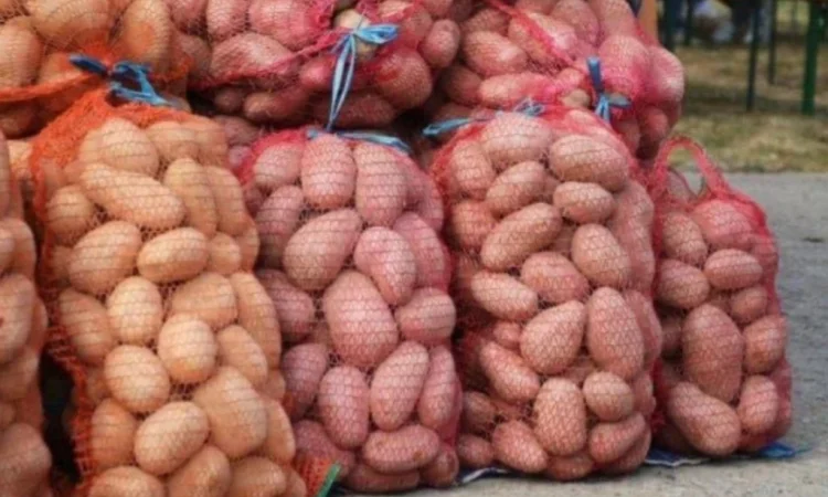 Продажа товарной картошки в Виннице - фото № 1