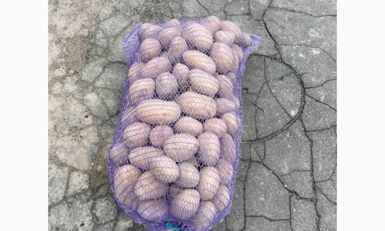 Куплю картоплю от одной тонны - фото № 1