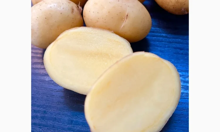 Купить картошку разных сортов - фото № 10