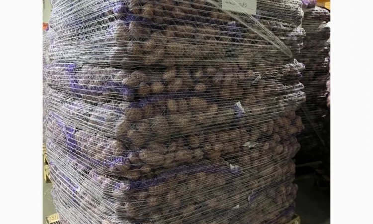 Купить картошку разных сортов - фото № 12