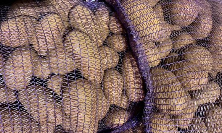 Купить картошку разных сортов - фото № 4