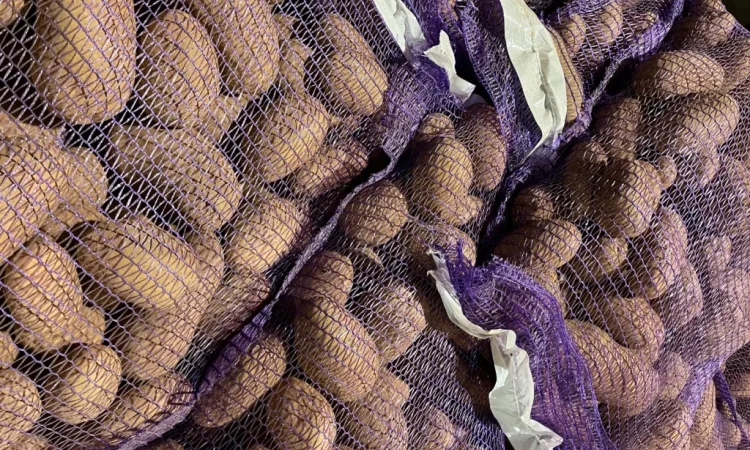 Купить картошку разных сортов - фото № 5