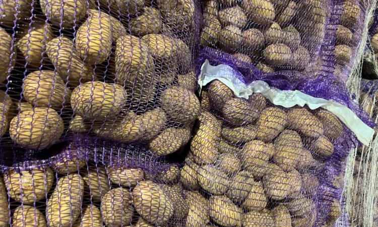 Купить картошку разных сортов - фото № 6