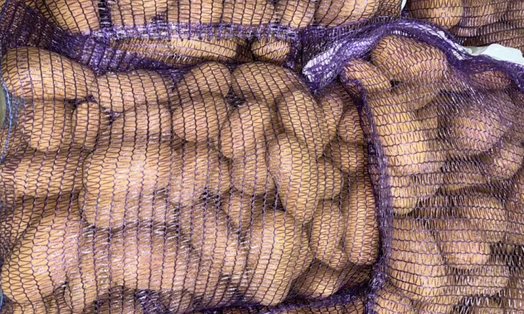 Продаю картошку различных видов - фото № 1