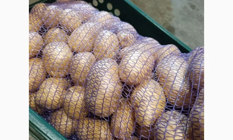 Продаж товарної мити картоплі оптом від 20 тонн - фото № 1