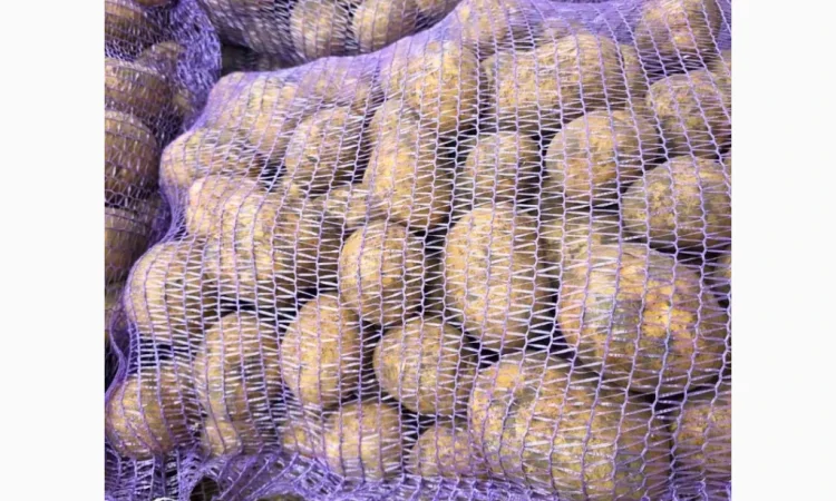 Картопля Аризона в шитій сітці, продаж оптом - фото № 1