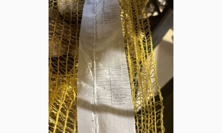 Продаж картоплі найвищої якості - фото № 3