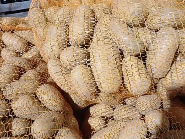 Продаж картоплі найвищої якості - фото № 5