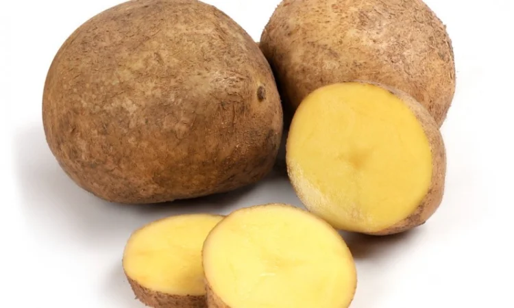 Продаж картоплі оптом - фото № 1