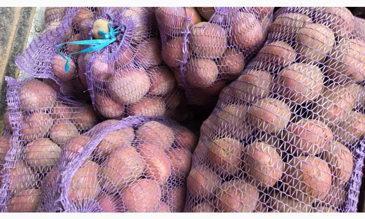 Куплю товарну картоплю - фото № 1