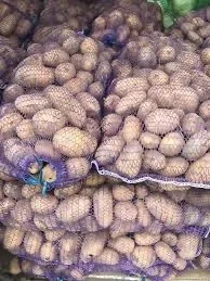 Продаж картоплі сорту Королева Анна від 20 тонн - фото № 1