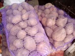 Закупівля сертифікованої насіннєвої картоплі оптом - фото № 1