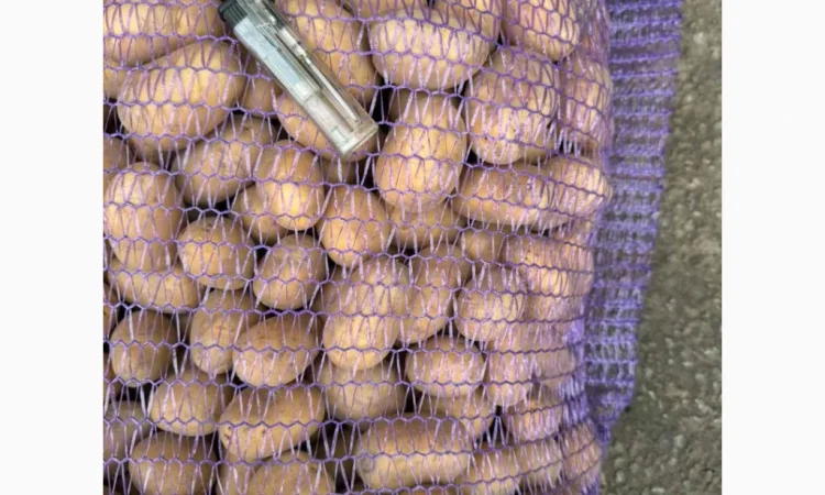 Закупівля картоплі великими партіями - фото № 1