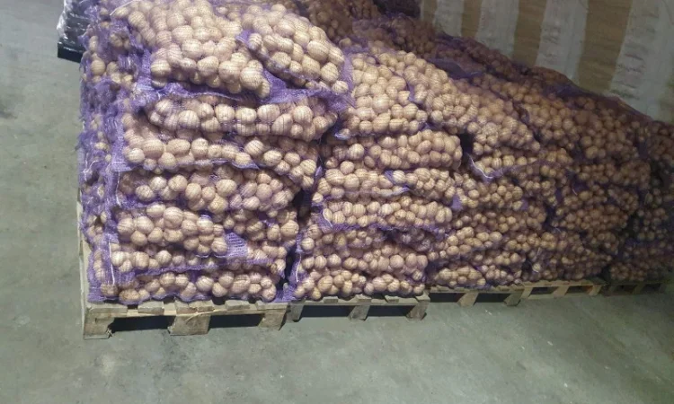 Продаж картоплі в Житомирі - фото № 1