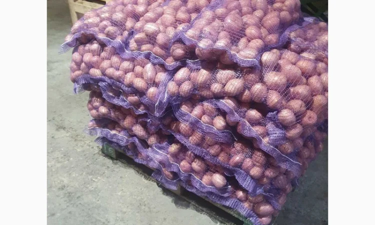 Продаж картоплі в Житомирі - фото № 2