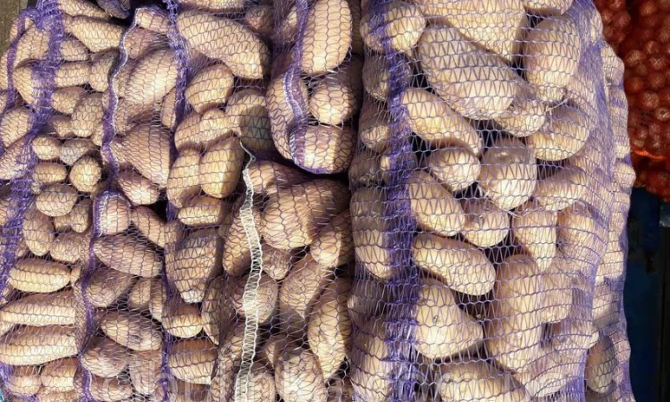 Картофель оптом 5 грн за 22кг - фото № 1