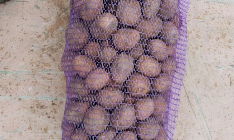 Куплю картоплю сортів Арізона та Белла Роса - фото № 1