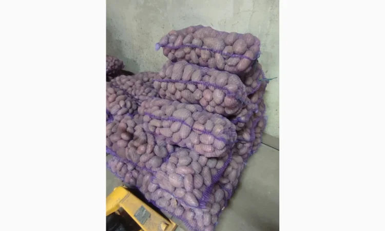 Картопля ПДВ на продаж - фото № 1