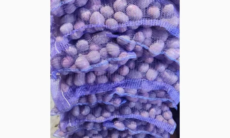 Продажа картофеля розового оптом - фото № 1