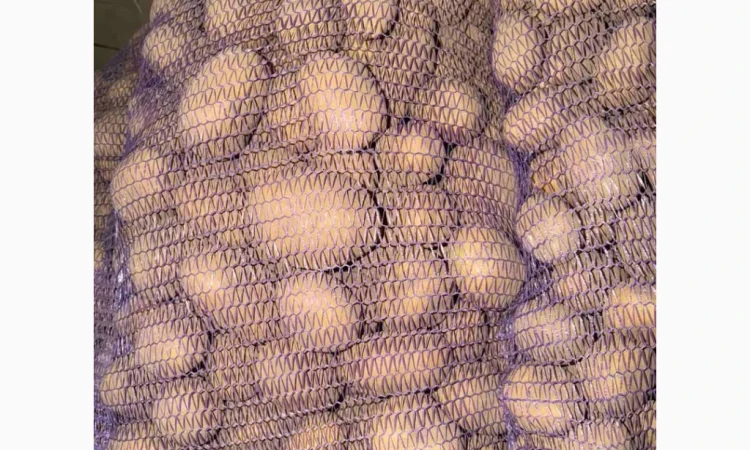 Куплю картоплю від фермера - фото № 2