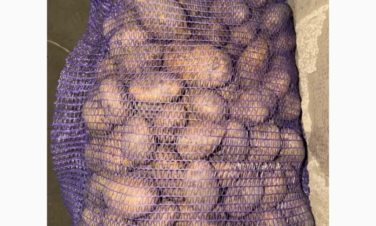 Куплю картоплю від фермера - фото № 3