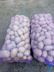 Картопля Белла Росса від населення - фото № 2