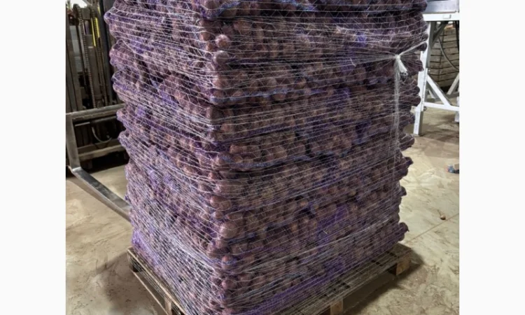 Картопля пізня оптом с доставкой в Львове - фото № 7