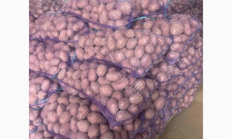 Продаю продовольчу картоплю - фото № 1