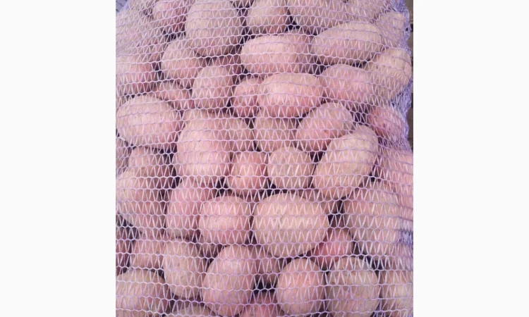 Продажа картофеля разных сортов - фото № 1