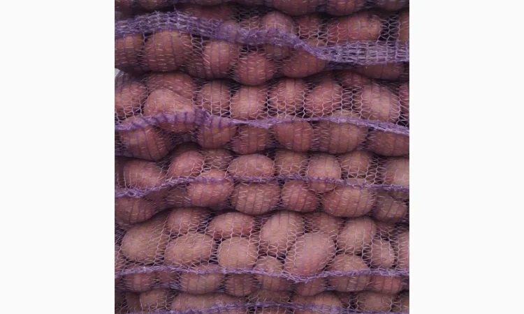 Продажа картофеля разных сортов - фото № 2