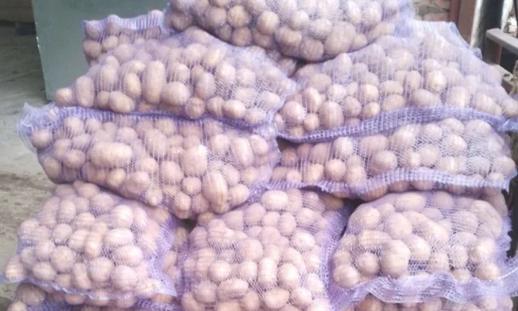 Продажа картофеля разных сортов - фото № 3