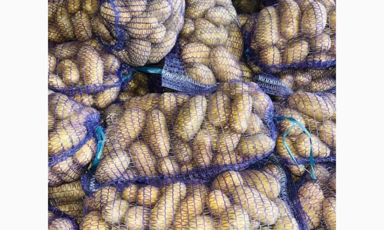 Продаю картоплю сорту Гранада - фото № 6