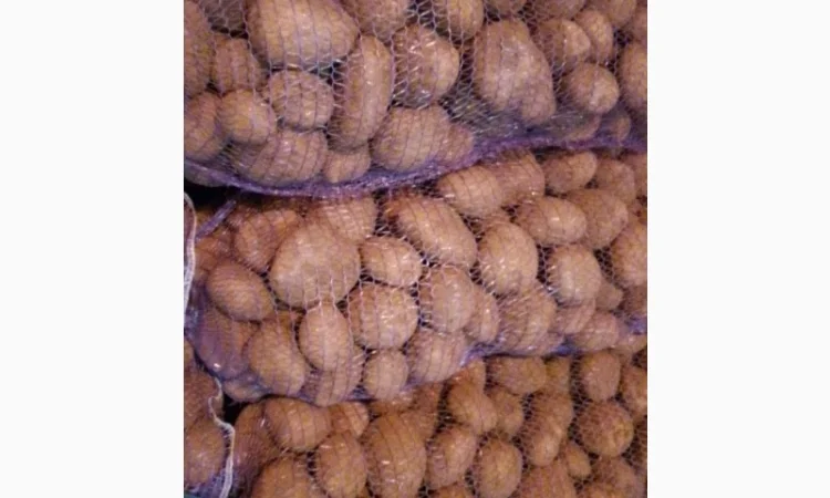 Картопля от производителя - фото № 4