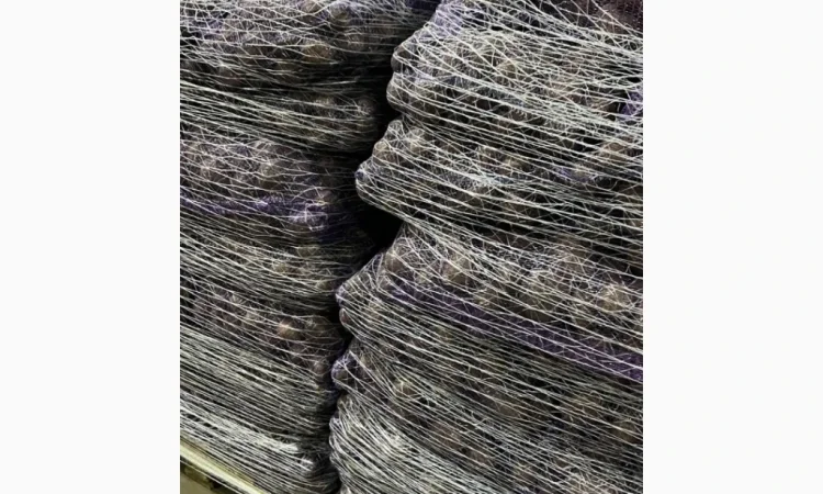 Картопля сортів Мелоді, Сорая, Белароса для гуртової покупки - фото № 2