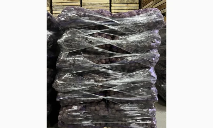 Картопля сортів Мелоді, Сорая, Белароса для гуртової покупки - фото № 3