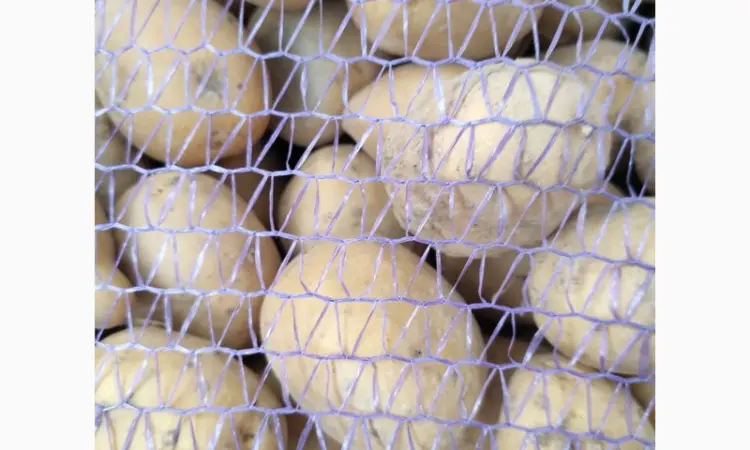 Продам продуктову та мілку домашню картоплю - фото № 1