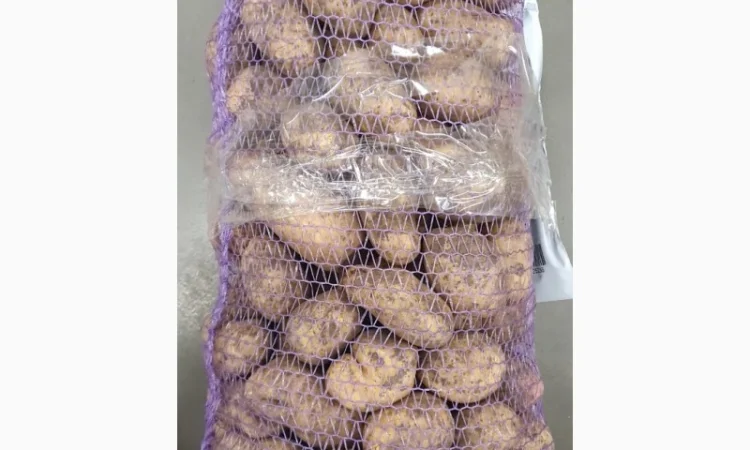 Картопля н.с по 4 грн в продажу - фото № 1