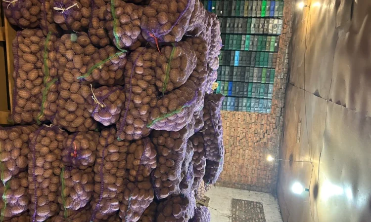 Продажа товарной картошки от населения - фото № 1