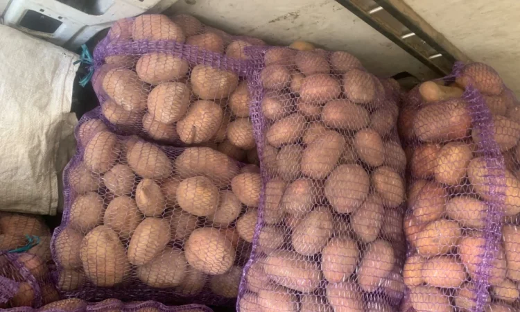 Продажа товарной картошки от населения - фото № 3