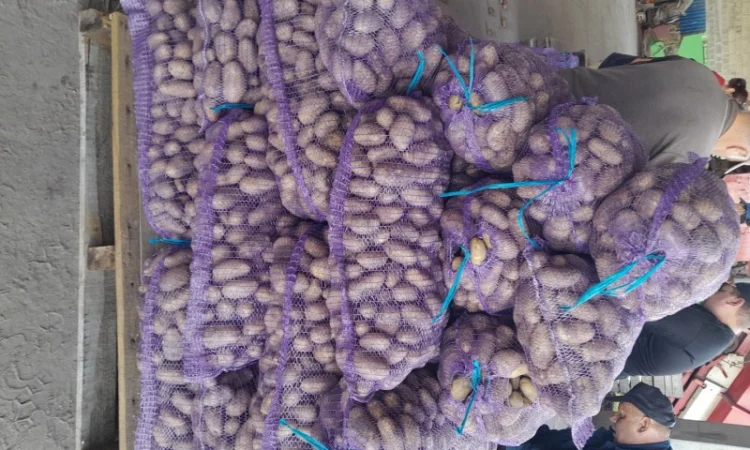 Куплю картоплю товарну сорт Гранада - фото № 5