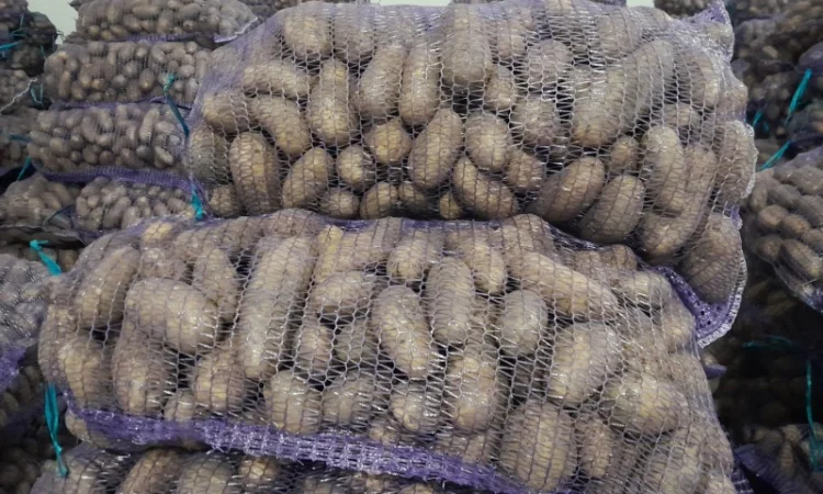 Куплю картоплю товарну сорт Гранада - фото № 6