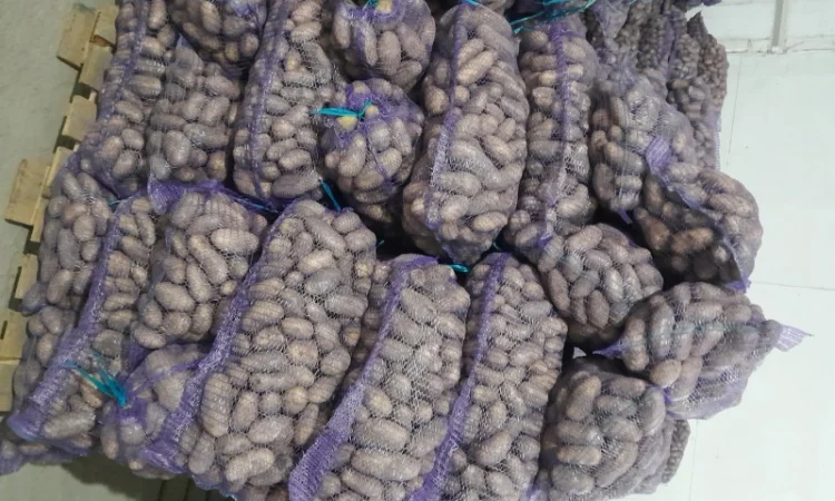 Куплю картоплю товарну сорт Гранада - фото № 9