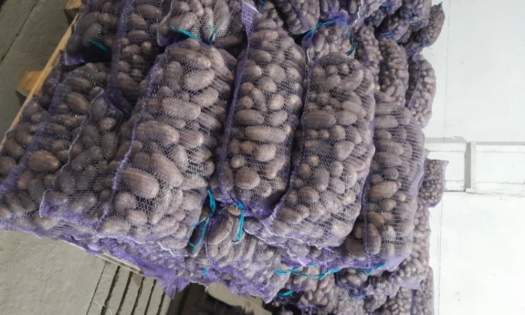 Куплю картоплю товарну сорт Гранада - фото № 13