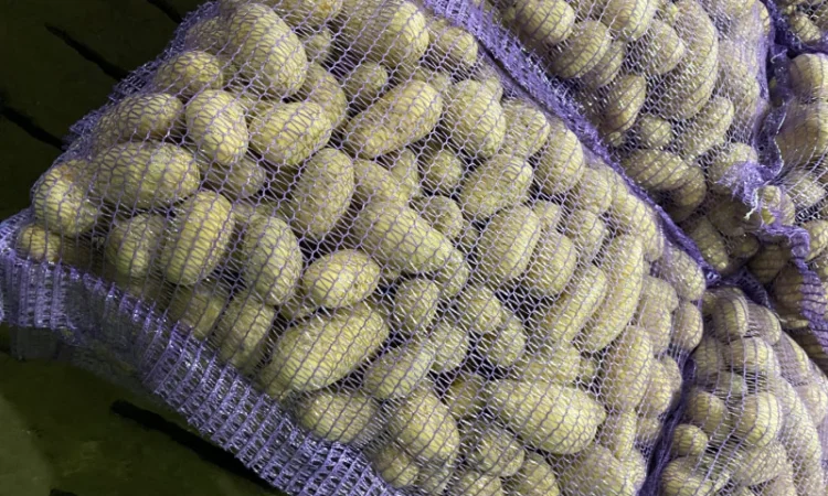 Продаж картоплі сорт Гранада - фото № 12