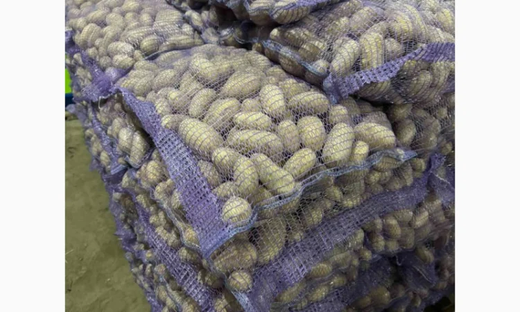 Продаж картоплі сорт Гранада - фото № 3