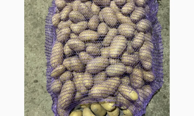 Продаж картоплі сорт Гранада - фото № 5